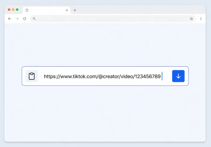 Schritt 2: TikTok-URL in den MP3 Downloader einfügen
